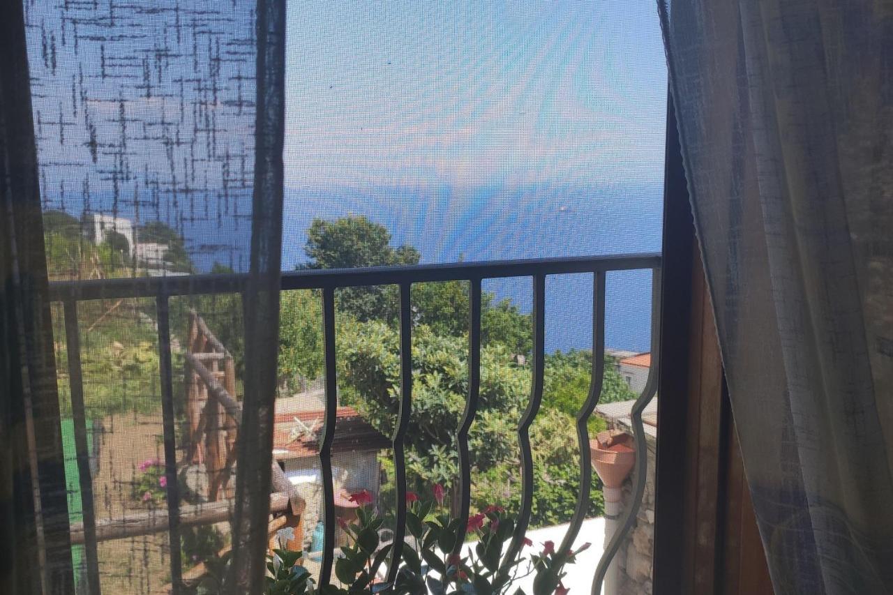 فيلا Il Piccolo Sogno In Costiera Amalfitana كونكا دي ماريني المظهر الخارجي الصورة